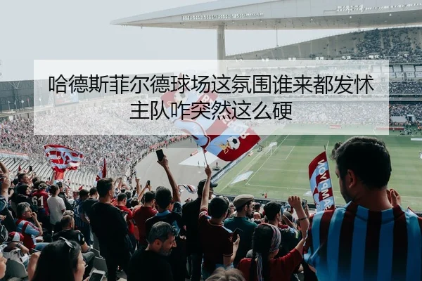 ha-de-si-fei-er-de-qiu-chang-zhe-fen-wei-shui-lai-dou-fa-chu-zhu-dui-za-tu-ran-zhe-me-ying-2-501.jpg