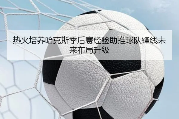 热火培养哈克斯季后赛经验助推球队锋线未来布局升级 | kaiyun