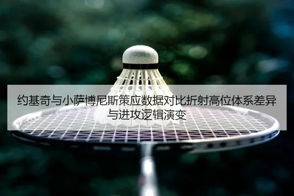 约基奇与小萨博尼斯策应数据对比折射高位体系差异与进攻逻辑演变 | kaiyun